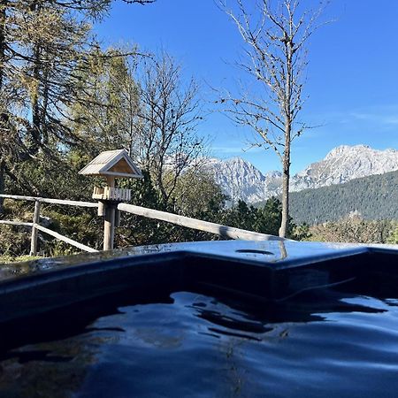 Chalet Orlica Velika Planina Stahovica Eksteriør billede