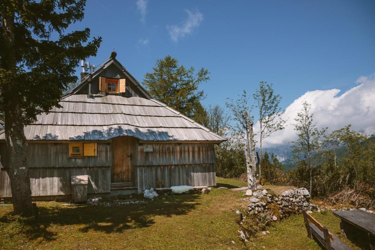 Chalet Orlica Velika Planina Stahovica Eksteriør billede