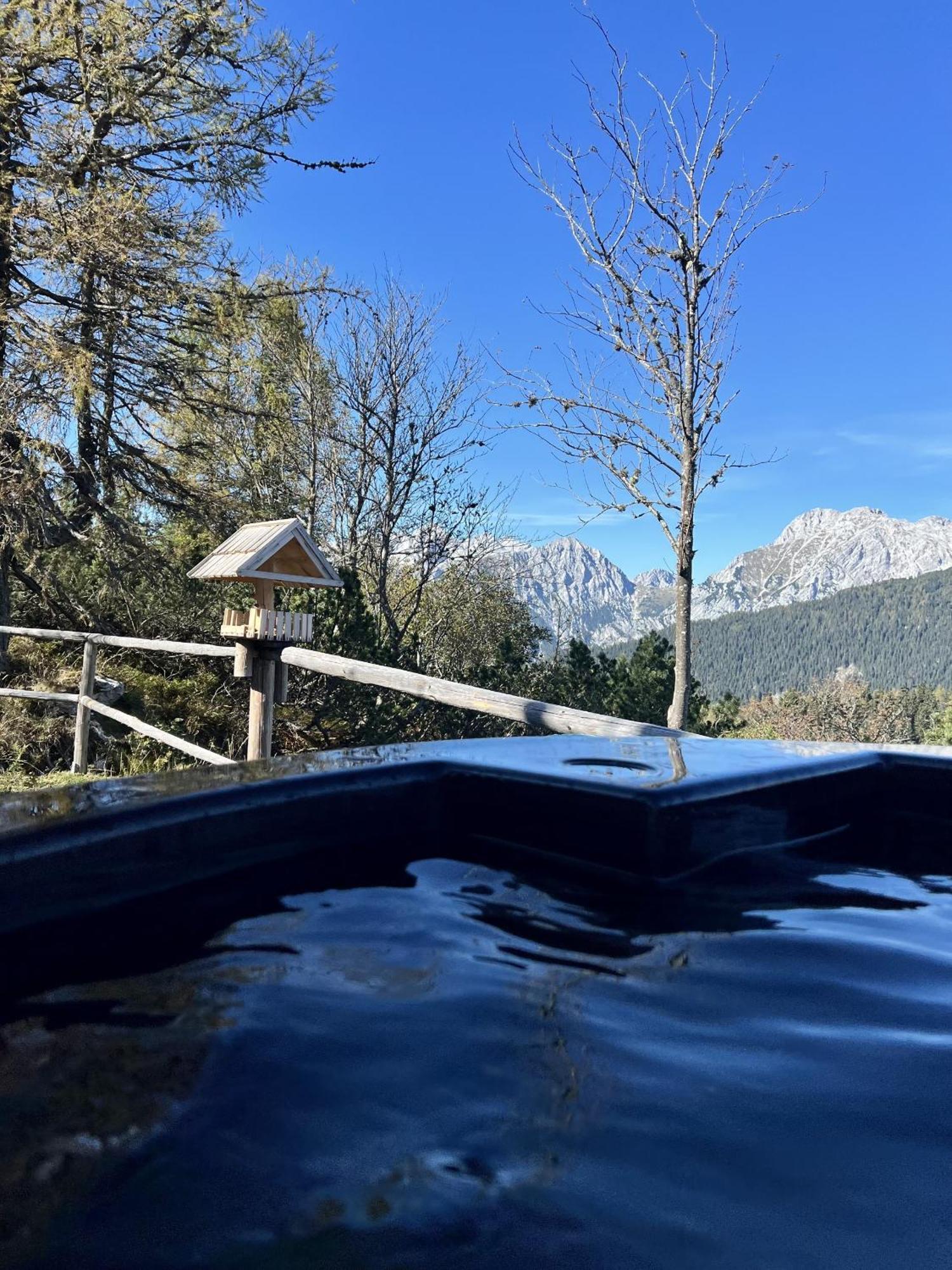 Chalet Orlica Velika Planina Stahovica Eksteriør billede